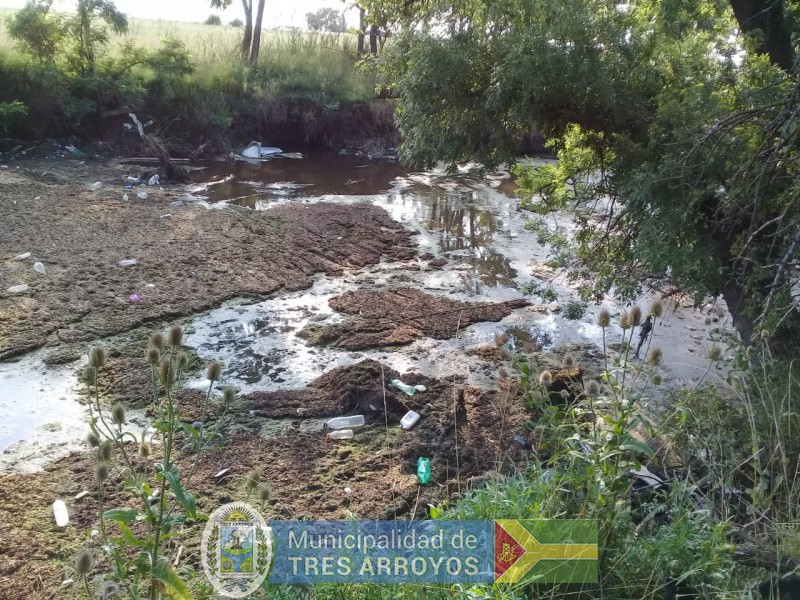 imagen 2 de la noticia La Secretaria de Gestión Ambiental de la Municipalidad de Tres Arroyos procedió a desobstruir el curso del arroyo Claromeco. publicada el 2020-01-09